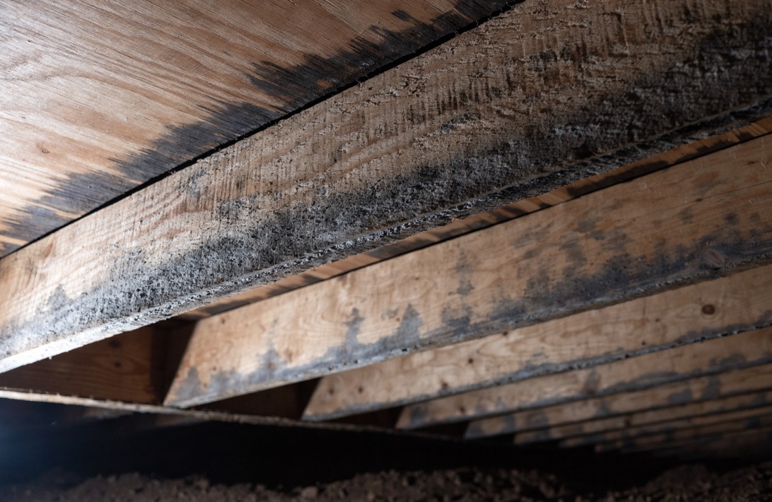 Dark surface staining across wooden floor joists and subfloor inside a damp crawl space